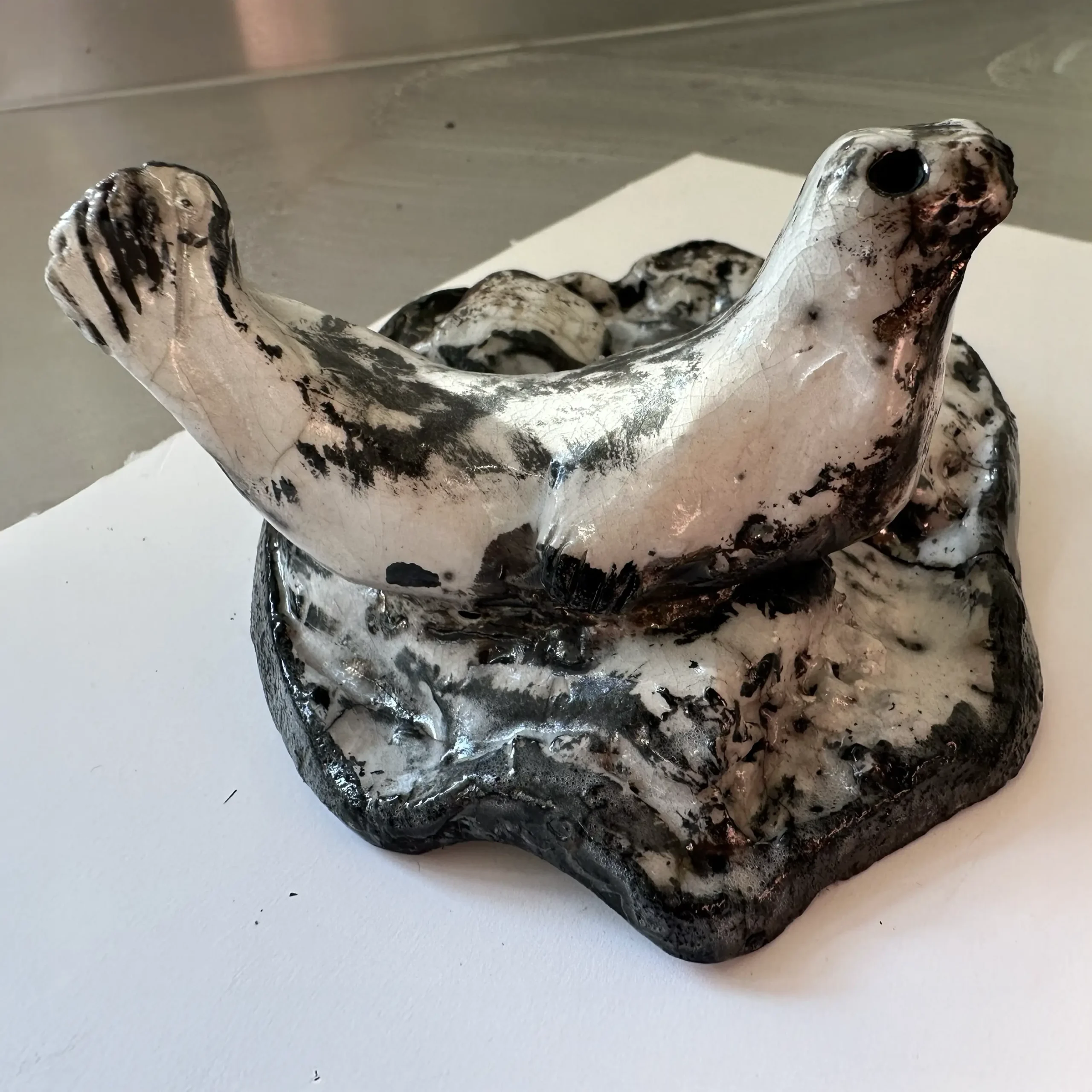 Seal_IMG_8907