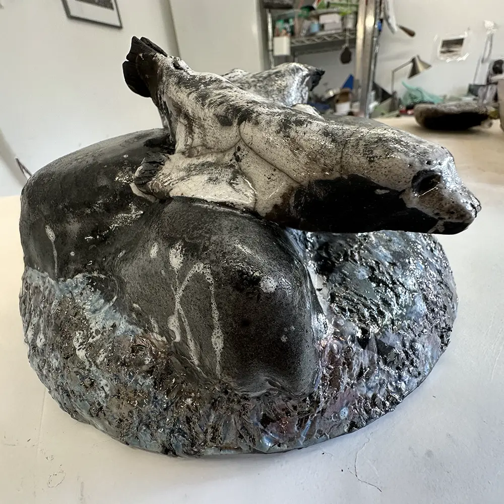 Seal_IMG_8912