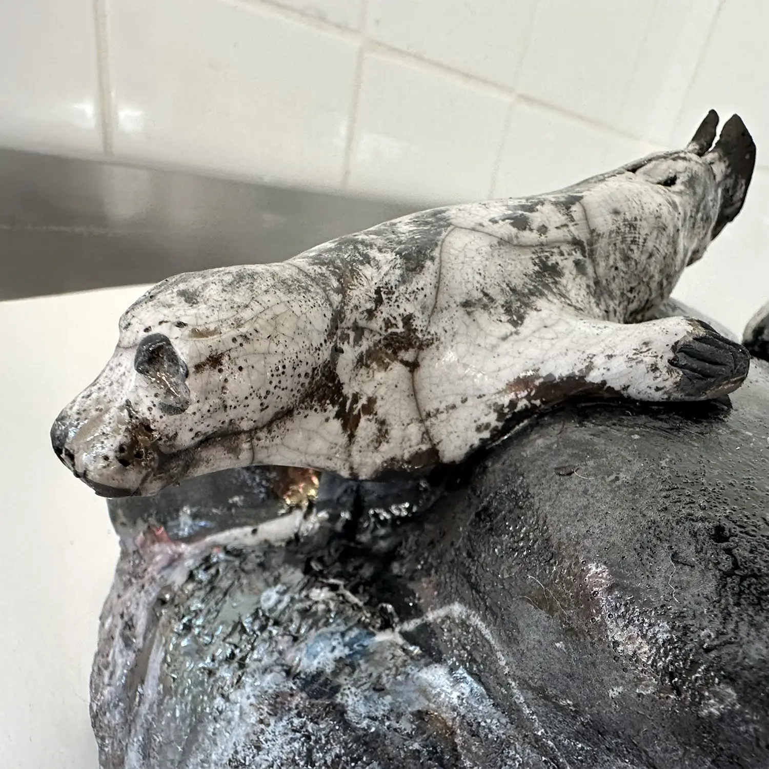 Seal_IMG_8916